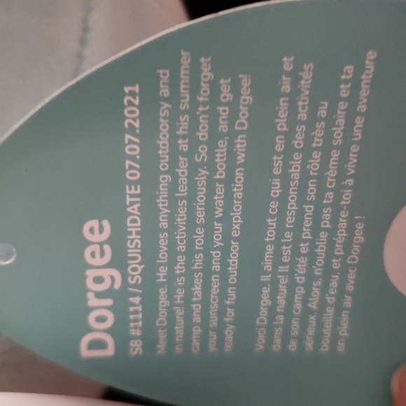 Dorgee squishmallows box lunch Exclusive 8 inch new Seal - Picture 7 of 7